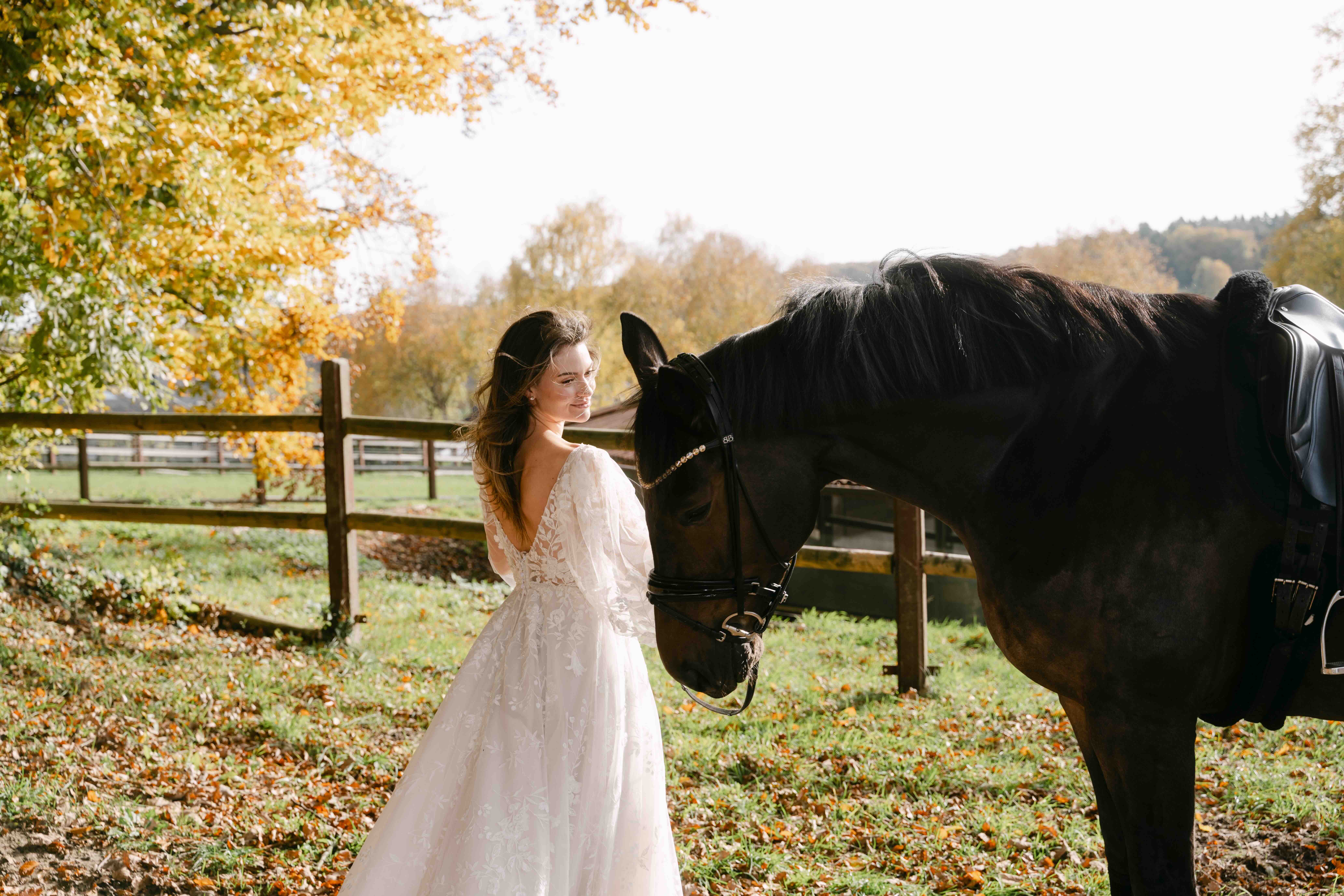 sanna-lindström-early-black-week-banner-footer-1